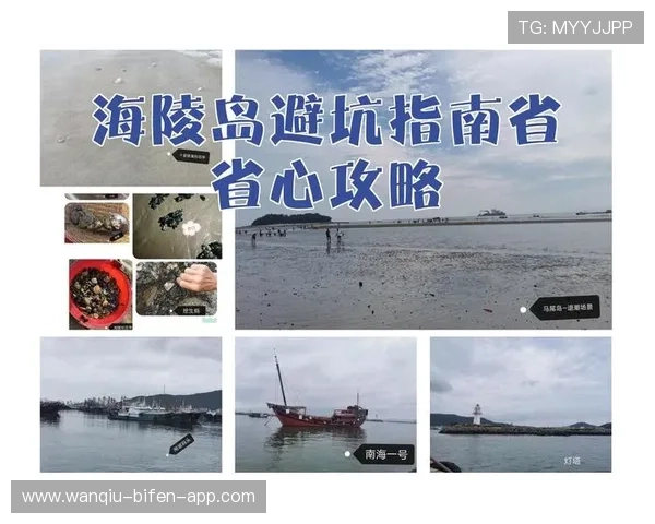 开云玩球怎么买单双避坑攻略电子真人防骗指南 开云玩球怎么买单双避坑攻略电子真人防骗指南